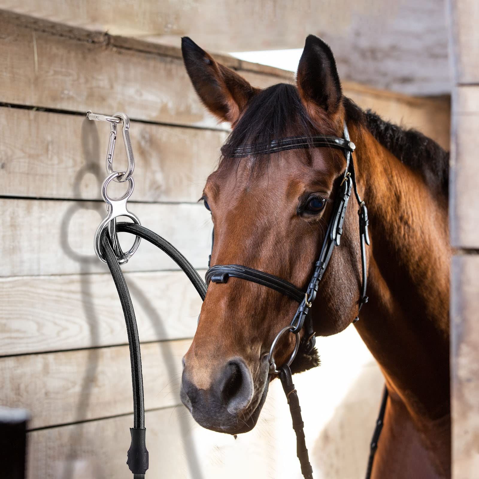 2 Sets Horse Tie Ring, Horse Tack and Supplies Horse Training Equipment Safe Horse Accessories with Eye Bolt, Tie Rings (Silver) — image 4