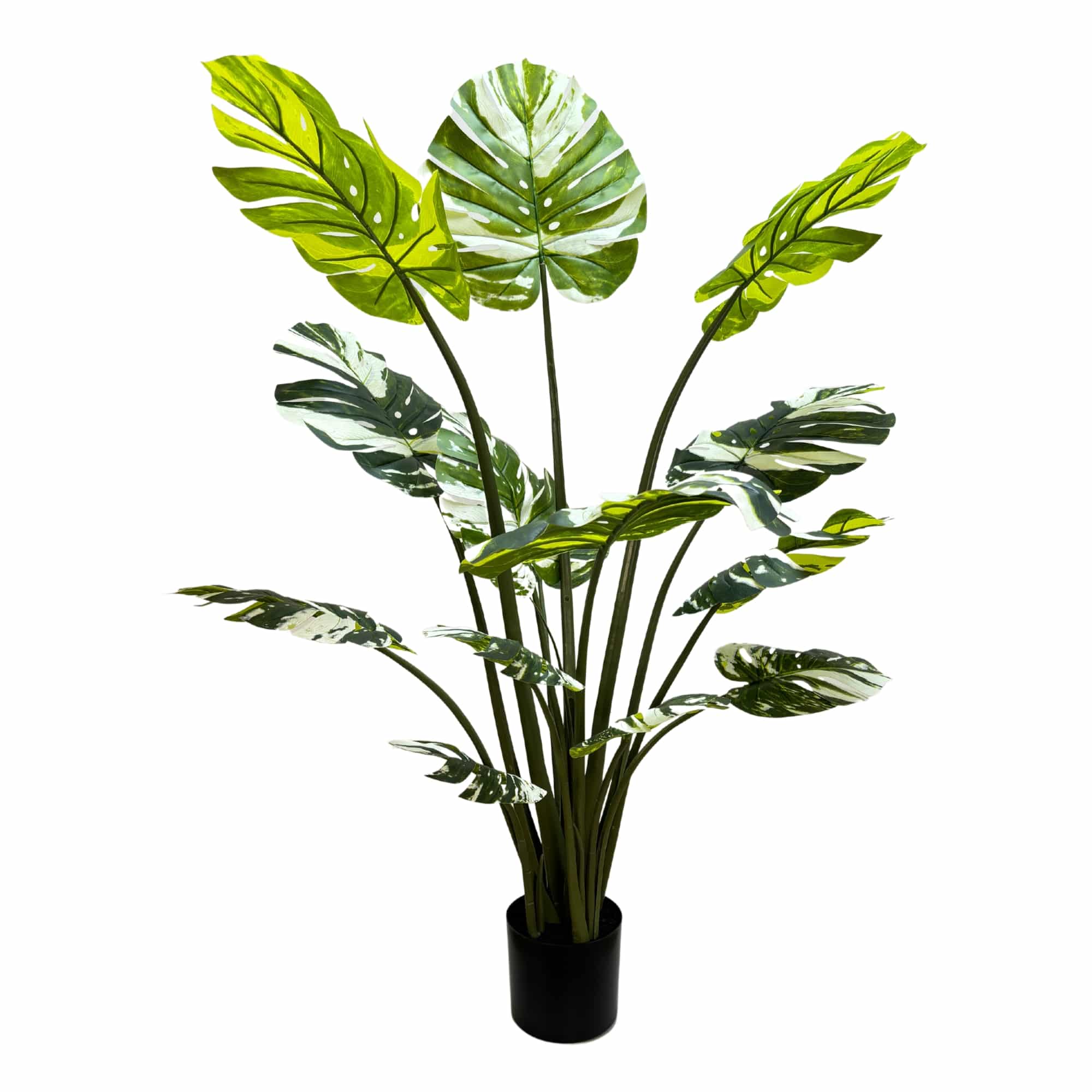Premium Artificial Potted Monstera Albo 150cm โ image 2