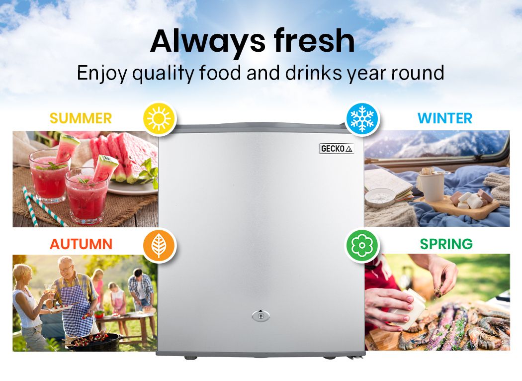 GECKO 57L Portable Camping Bar Fridge with Freezer 12V/24V, Silver โ image 3