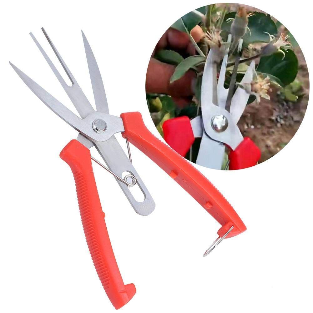 Stainless Steel Forging Apple Pear Tree Garden Scissors for Plant, Double Mouth Scissors Gardening Cutting Shears Pruning Tools — image 5
