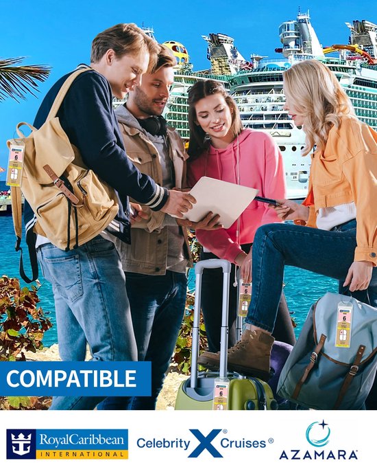 4-Piece Cruise Luggage Tags - Cruise Tag Holder - with Steel Ring - Transparent - for all your Royal Caribbean and Celebrity Cruises cruise essentials โ image 4