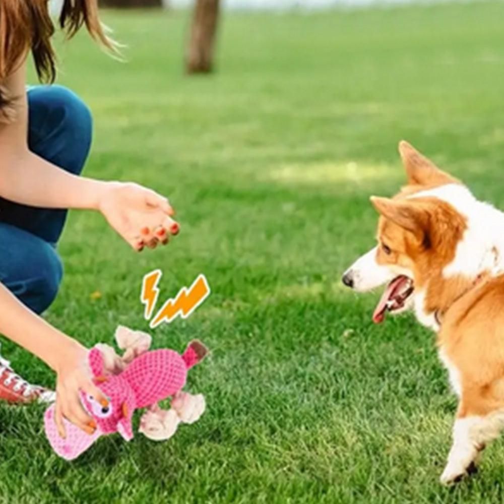 Dog Toys for Aggressive Chewers - Squeaky Toys to Keep Dogs Busy Style 2 — image 2