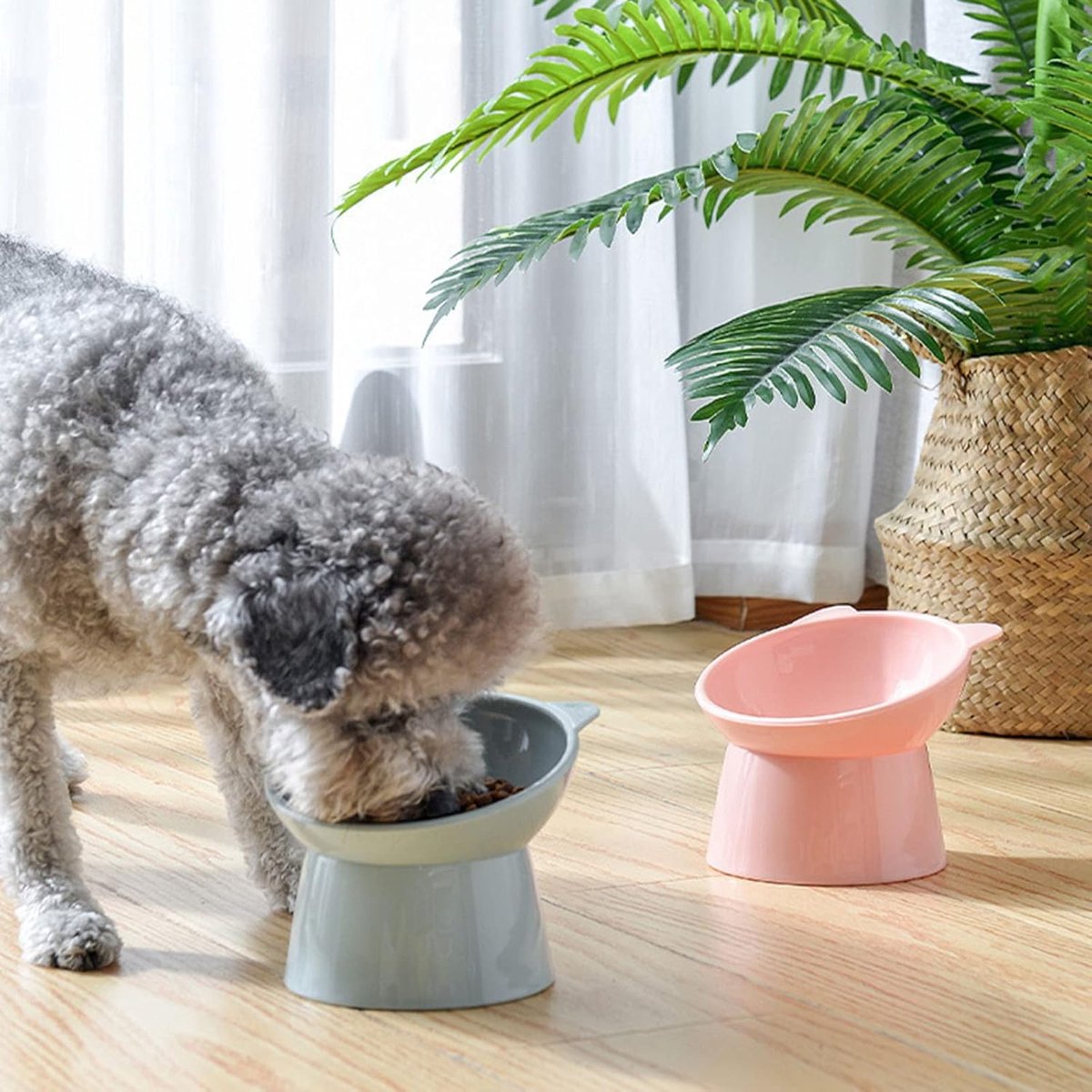Cat bowl - Non-slip feeder - Tilting bowl - Anti-vomiting - Angled design - Blue - Perfect for cats - Indoor use - Pet accessories - Pink — image 6