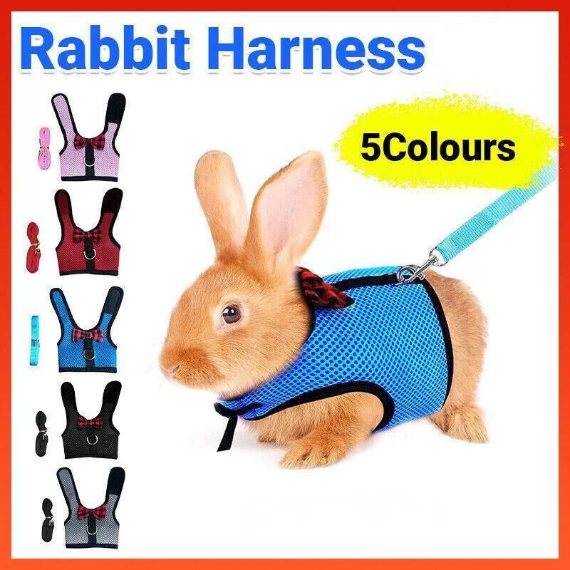 Rabbit Vest Harness Leash Lead Small Animal Pet Mesh Hamster Bunny Traction Rope M - Black — image 2