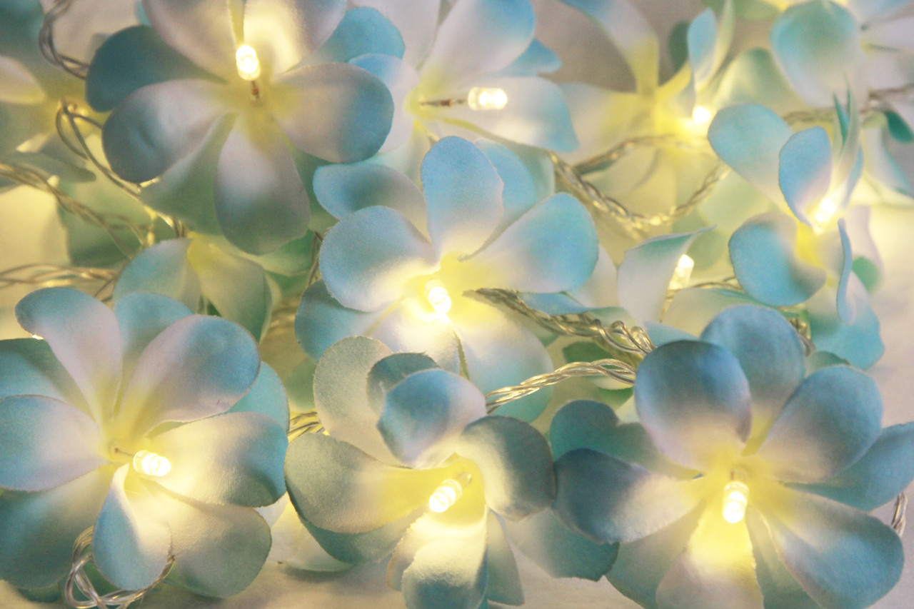 1 Set of 20 LED Tropical Blue Frangipani Flower Battery 3m String Lights Christmas Gift Home Wedding Beach Party Decoration Outdoor Table Centrepiece โ image 4