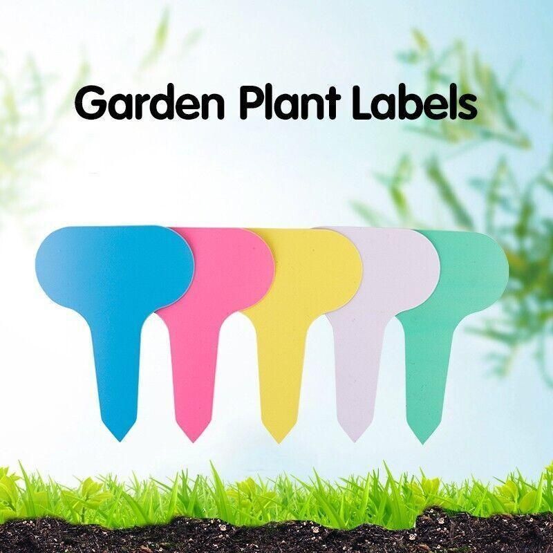 T Plant Labels 50-100Pcs 6 Colours Garden Stakes Markers Tags Nursery Seedling - Green — image 4