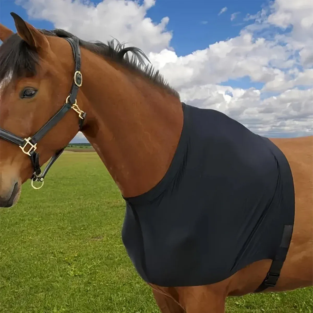 Horse Fly Repellent Vest Back Heart Shape Mesh Cover Breathable Anti Mosquito β image 5