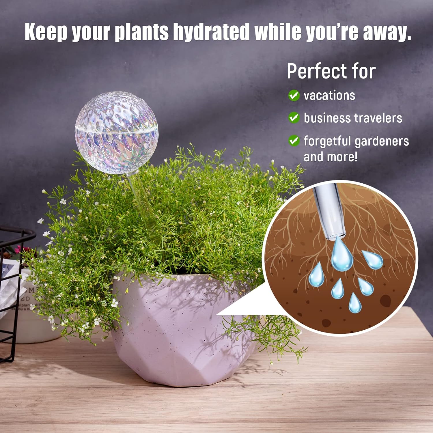 Glass Self-Watering Plant Balls, 2-Pack, Pearlescent, Clear Iridescent, Plant Watering Device, Diamond Pattern, Self-Watering Balls, Planter Insert, Decorative โ image 3