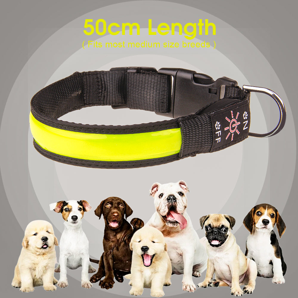 50cm Rechargeable Light-up LED Pet Collar — image 5