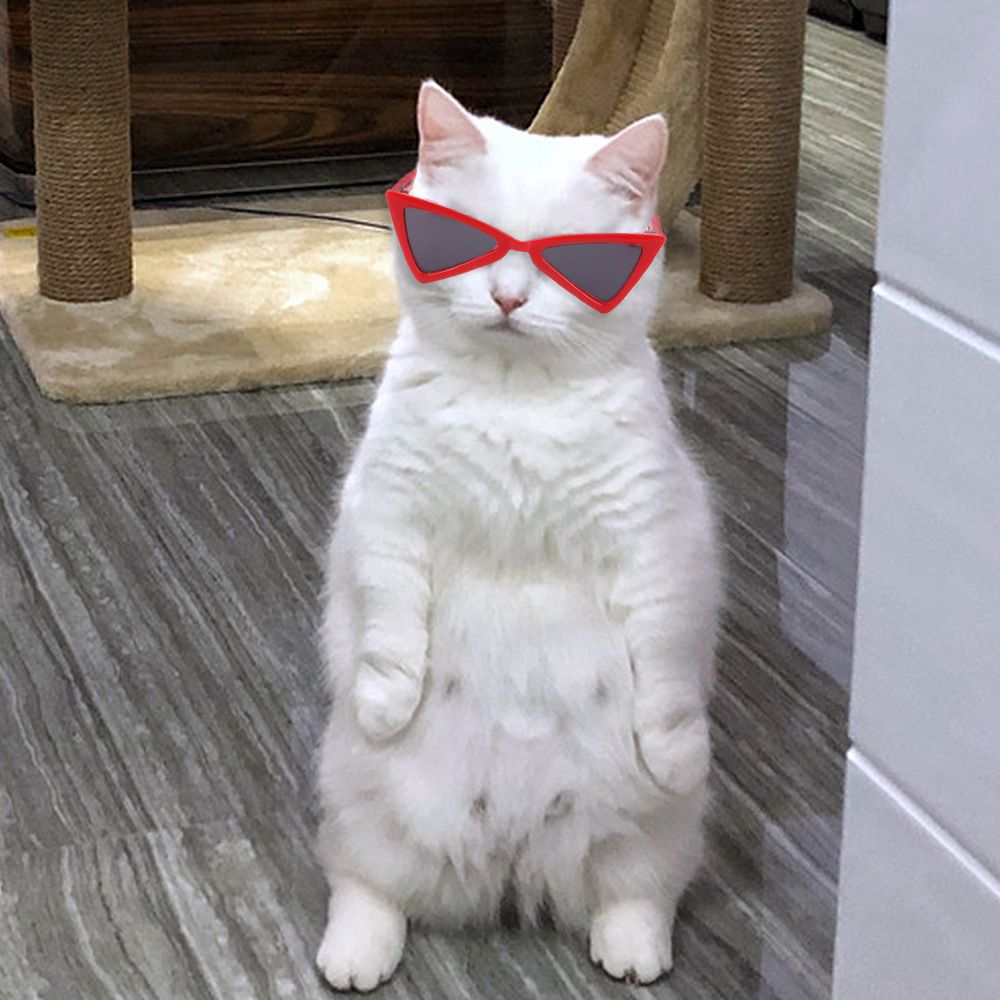 Small Pet Sunglasses,Triangle Cool Dog Sunglasses, Funny Doll Toy Glasses for Party Photo Cosplay Show(Sunglasses Red) — image 2