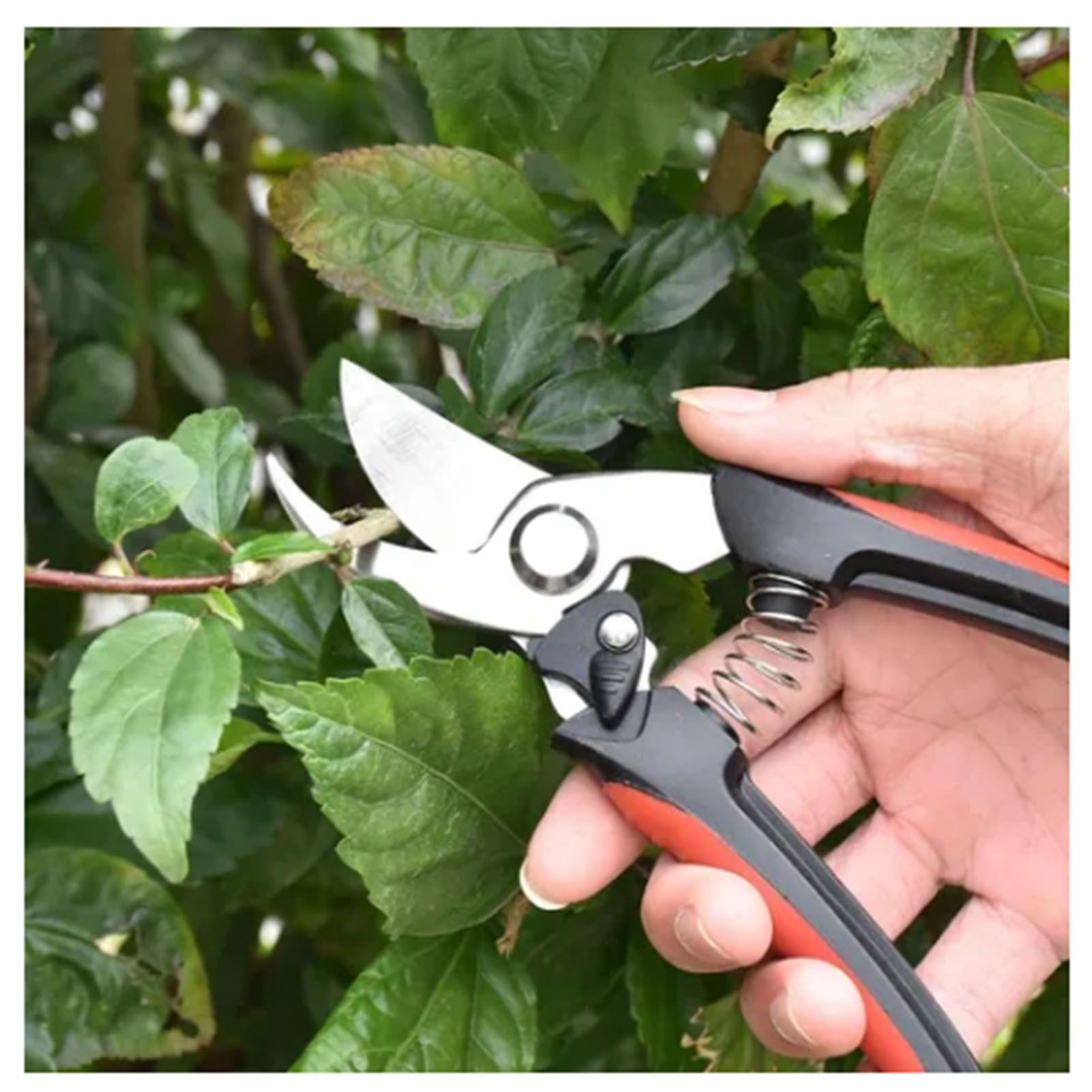 2Pcs Garden Pruning Shears Labor Saving Fruit Tree Thick Branch Pruning Shears Gardening Scissors Tools — image 6