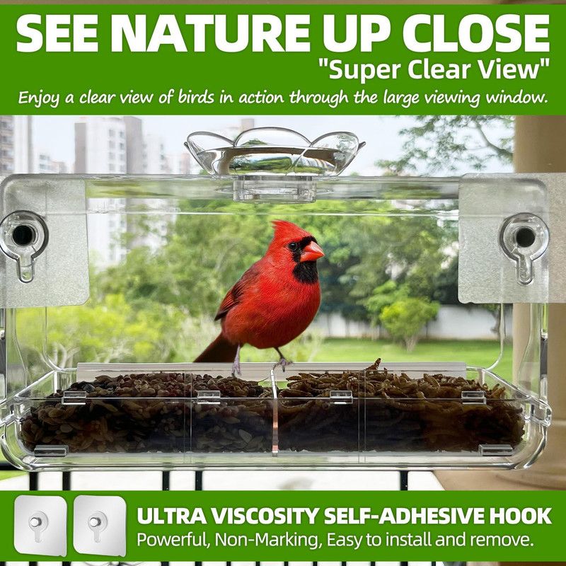 Window Bird Feeder with Non-Marking Self-Adhesive Hooks, Clear and Transparent, Outdoor Wild Bird Watching Gift, Garden Decor โ image 4