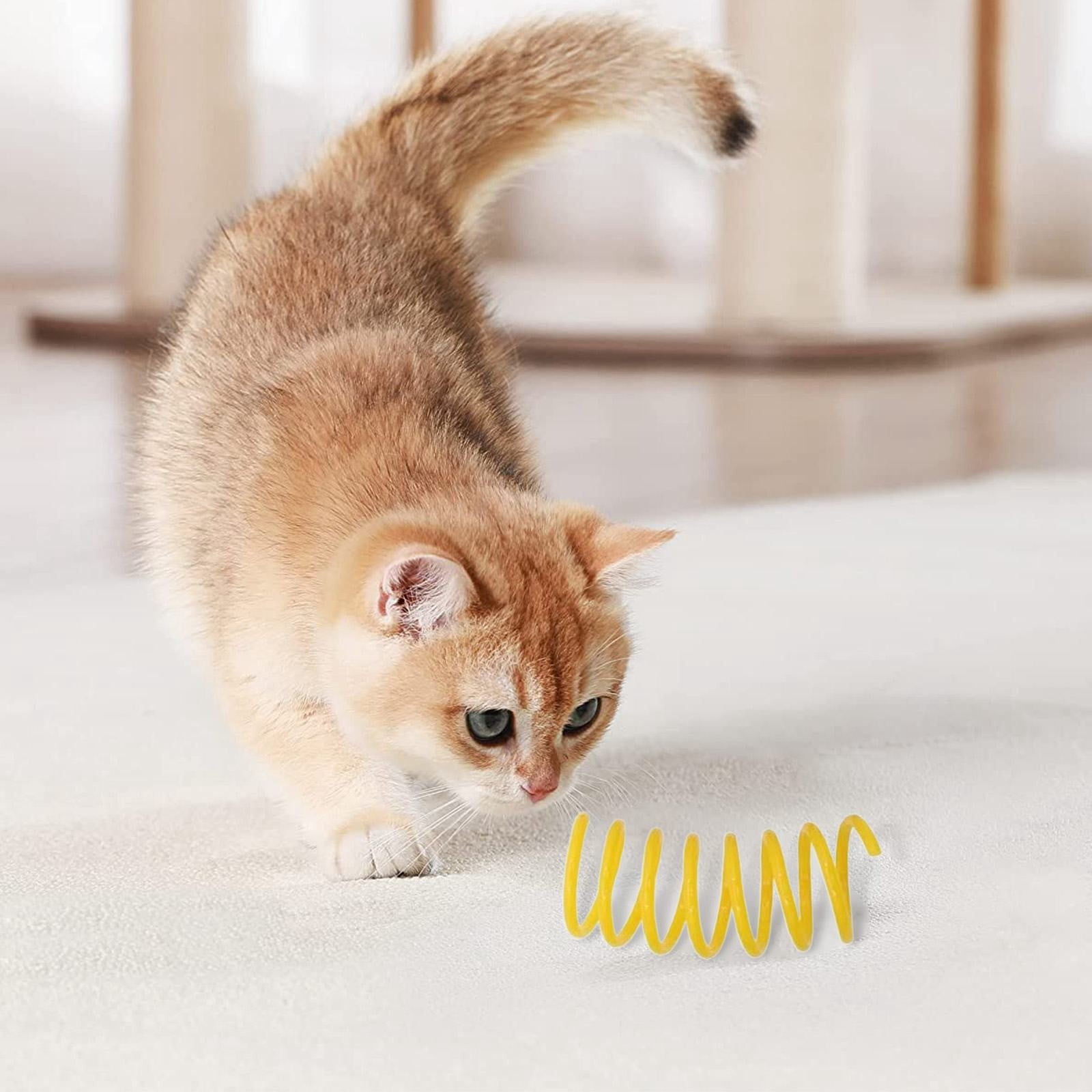 Red Pet Cat Toy Spring Style Spring Toys Playful Coils for Plastic for Swatting Biting Hunting and Active Play Colorful, Red Blue — image 6