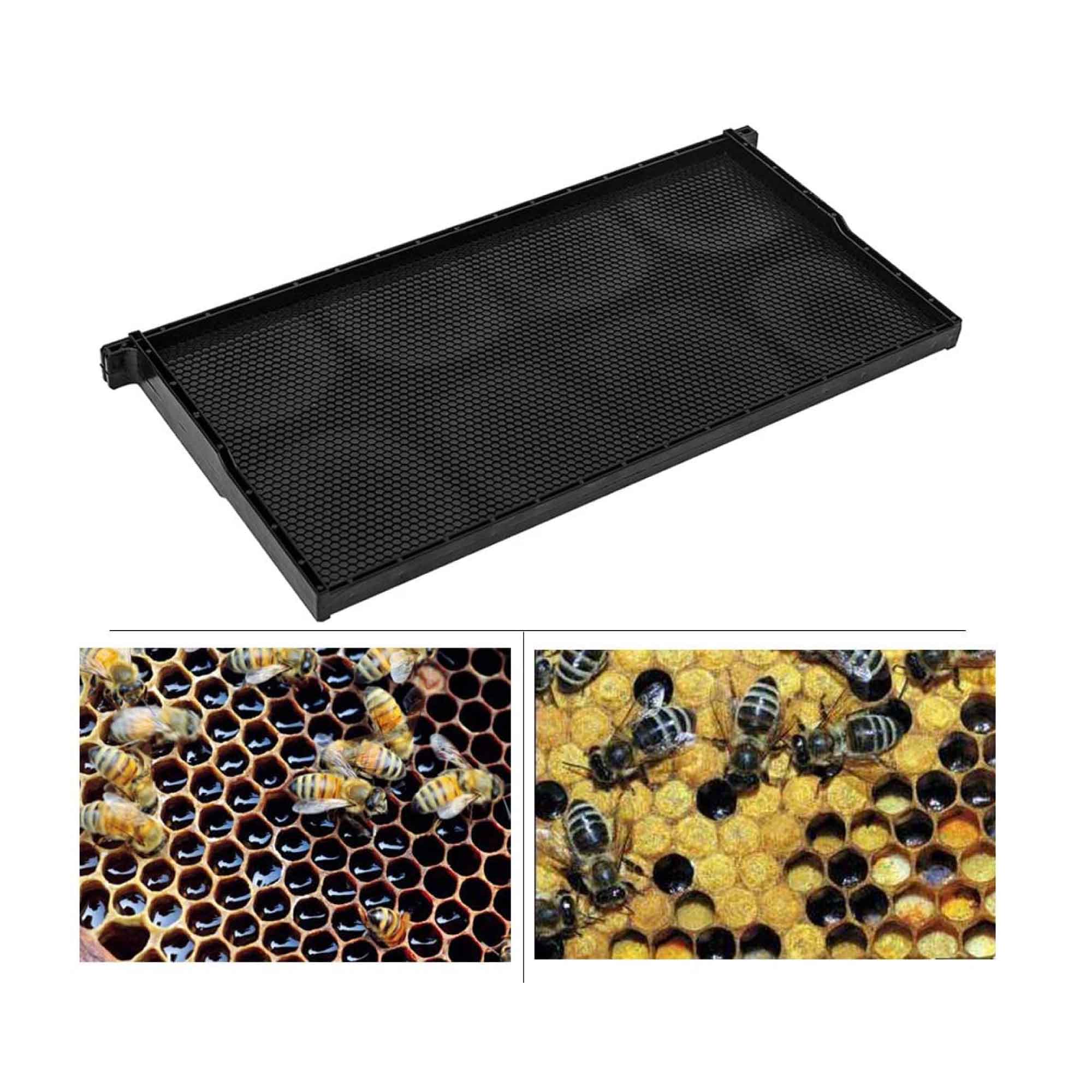 20x Beehive Plastic Frames Foundations Langstroth Bee Hive Deep Box Beekeeping — image 3