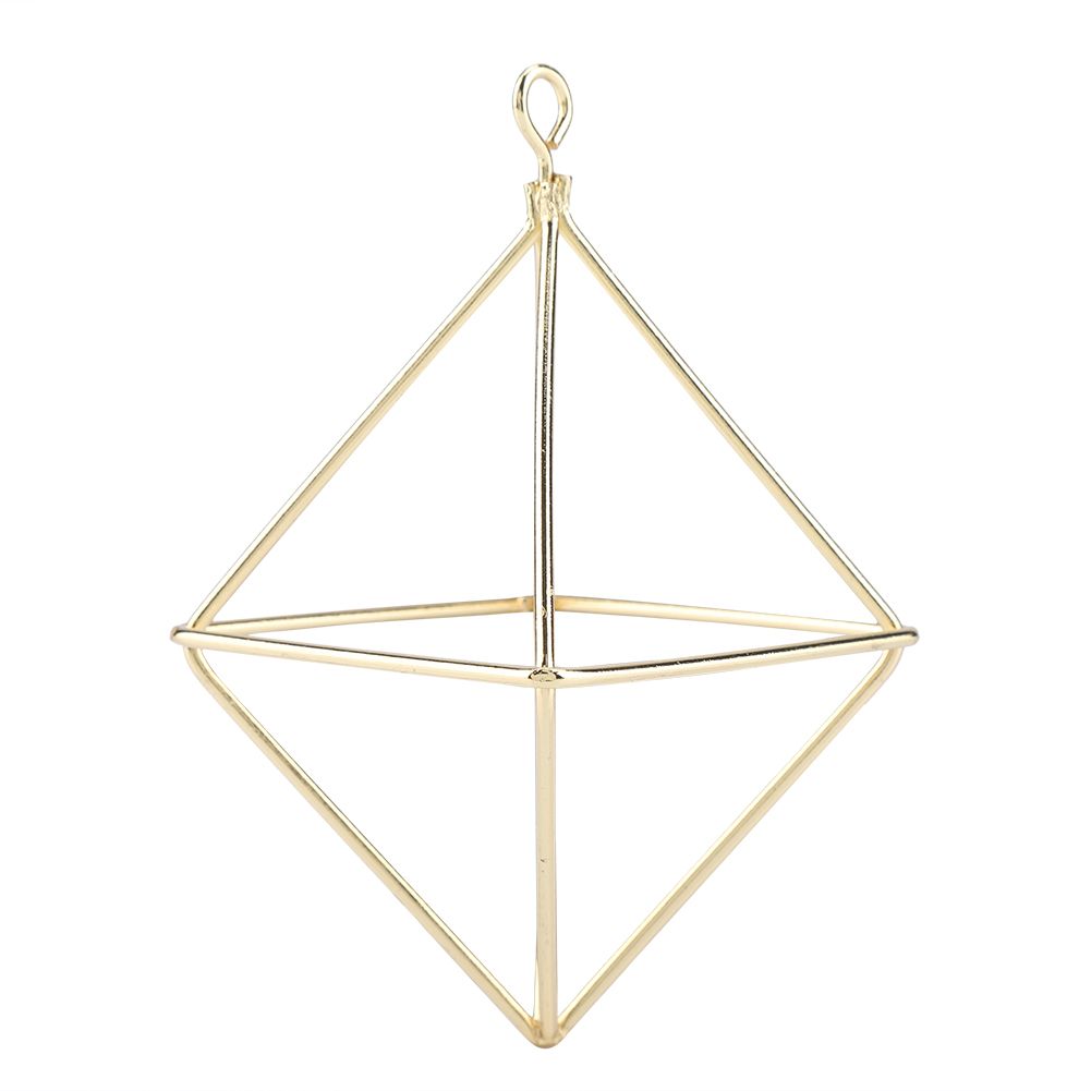 Geometric Air Pants Holder Fashionable Flowers Bromeliads Hanging Rack Home Decor Gold — image 2