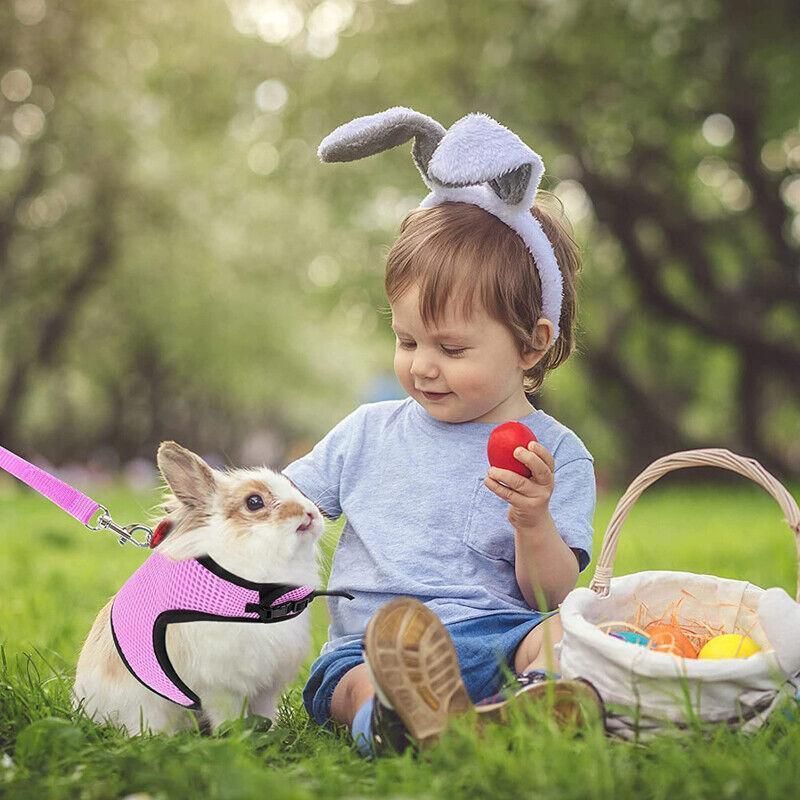 Rabbit Vest Harness Leash Lead Small Animal Pet Mesh Hamster Bunny Traction Rope M - Black — image 4