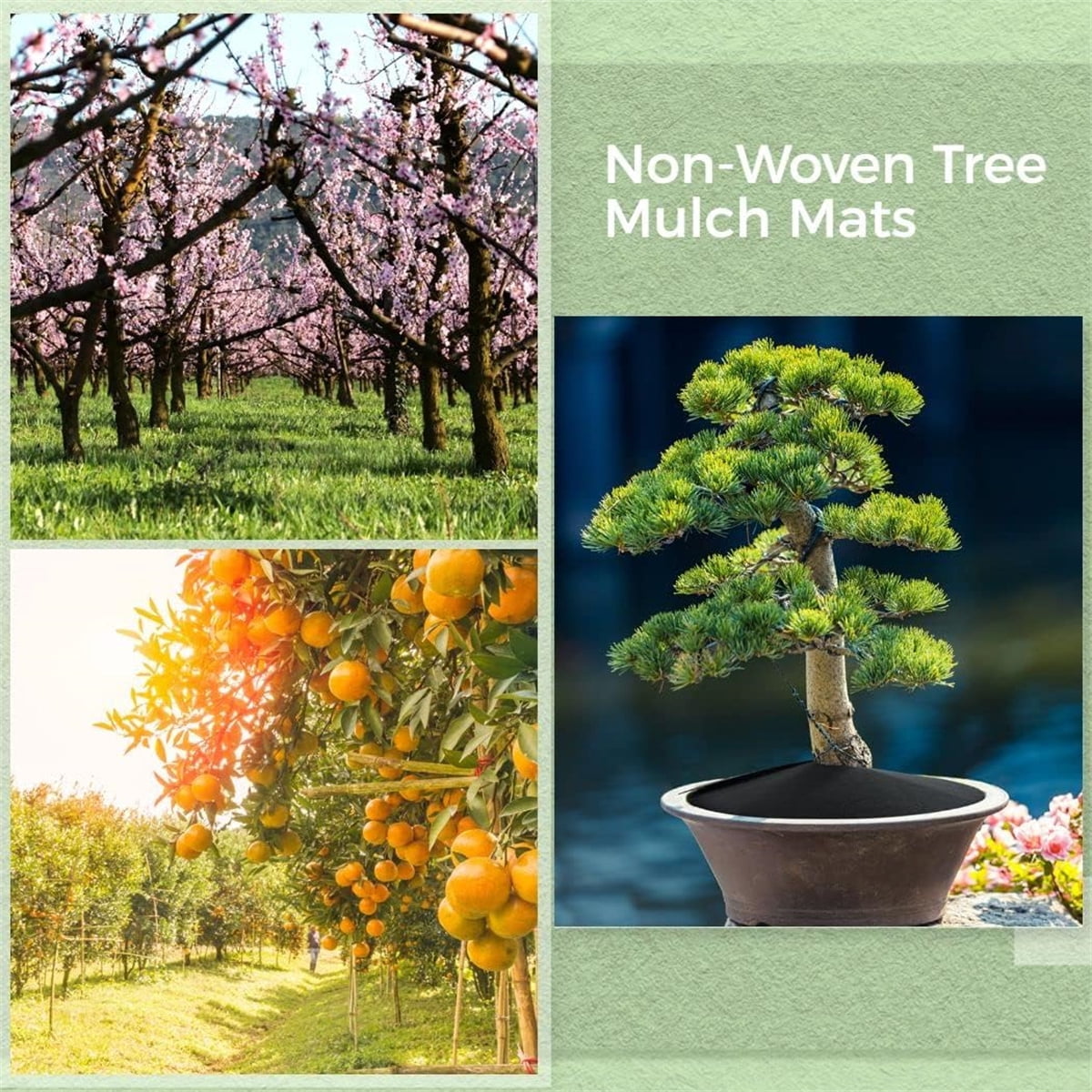 Non Woven Tree Ring, 24.4 inches Round Tree Base Weed Barrier Fabric Cover, Degradable and Reusable Tree Mulch Ring for Landscaping Weed Control, Root โ image 6