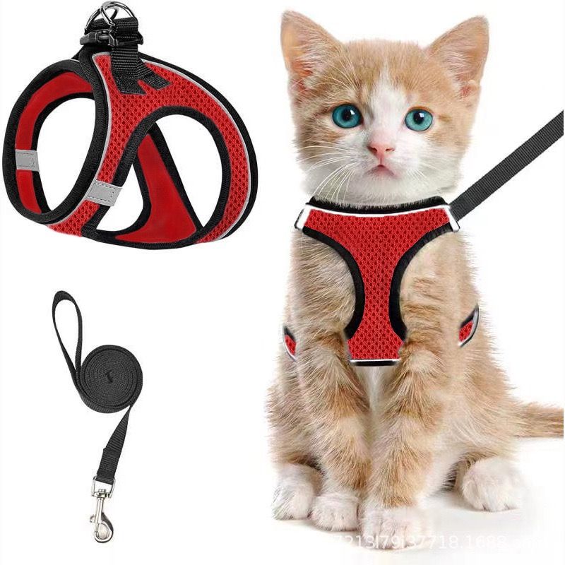 Escape-Proof Cat Harness and Leash Set with Reflective Soft Mesh Vest for Safe Outdoor Adventures with Your Feline Friend (S, Blue) — image 5