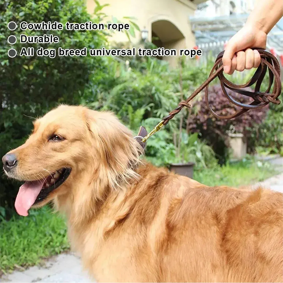 Dog Leash Cowhide Lead Heavy Duty Leather M Size Brown For Walking Training - Black โ image 6