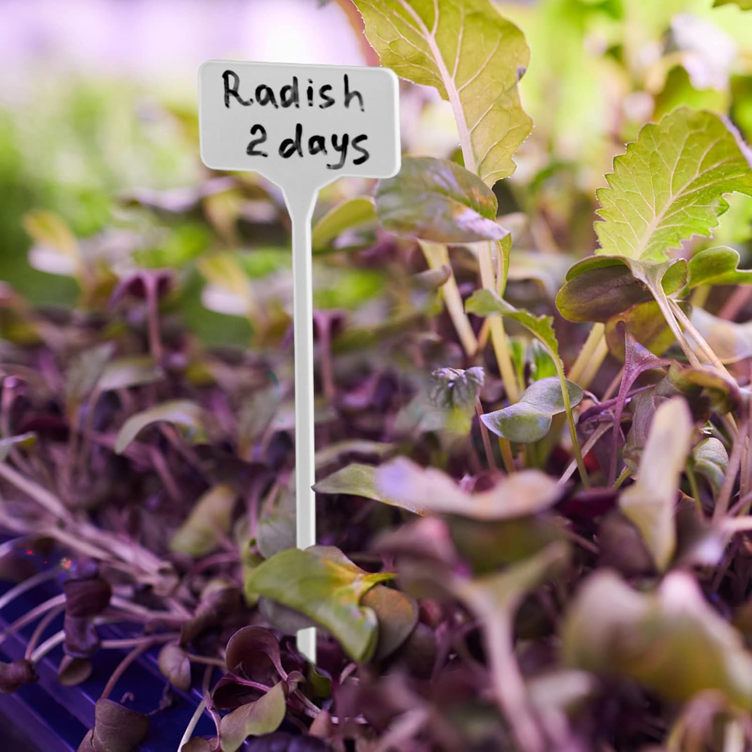 Garden Markers Waterproof, Outdoor Large Plant Id Tags Tall Plant Labels, Plastic Garden Signs Identification Stakes, for Vegetables Herb Seed Pot Flower — image 6