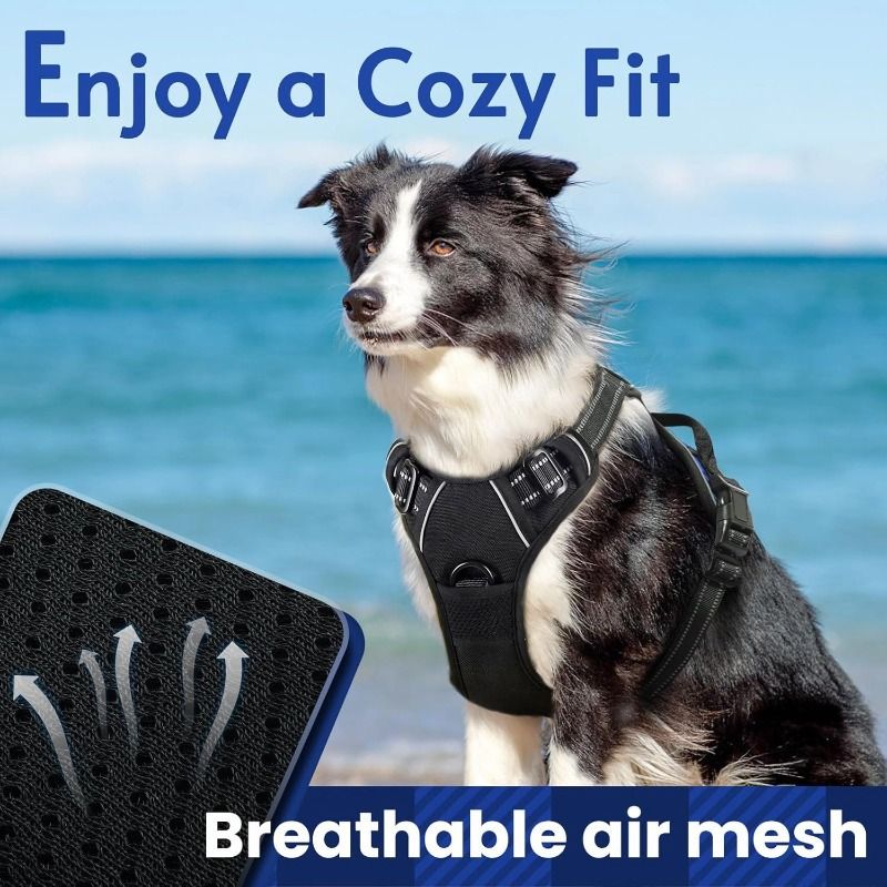 Anti-escape dog harness & leash, soft and comfortable breathable dog vest, reflective in the night, suitable for walking medium and large dogs — image 2
