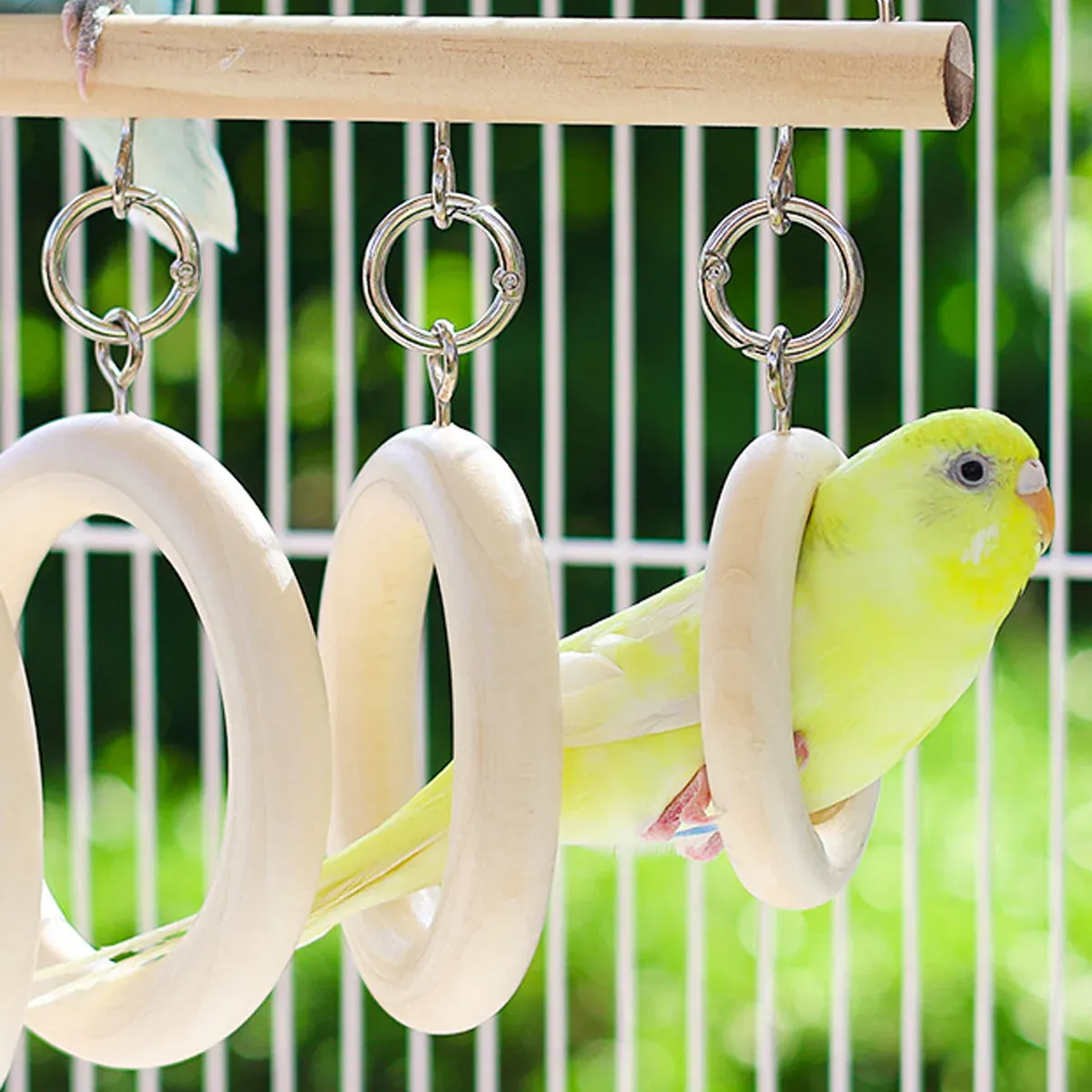 Parrot Chewing Boredom Relief Toy Hanging Ring for Small Medium Parakeet Durable — image 5