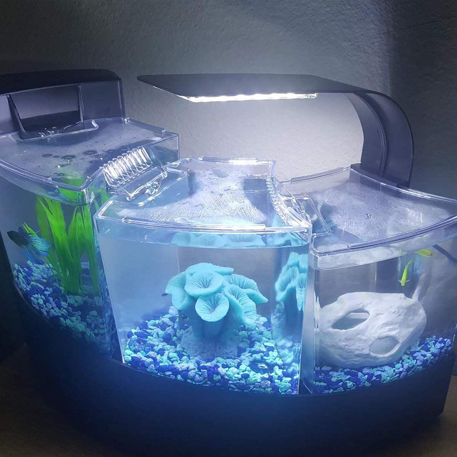 Aquarium Clip-on led Light, Fish Tank Light with White and Blue LEDs, Small LED Aquarium Light for Freshwater Tank — image 3