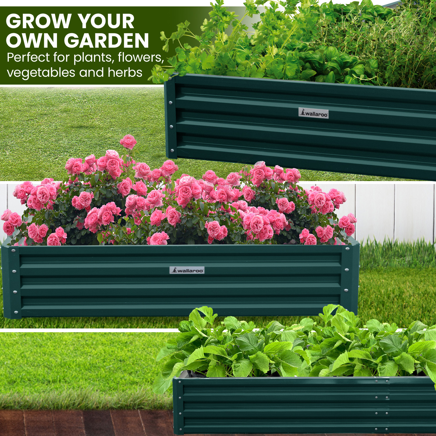 Wallaroo Garden Bed 240 x 120 x 30cm Galvanized Steel - Green โ image 5