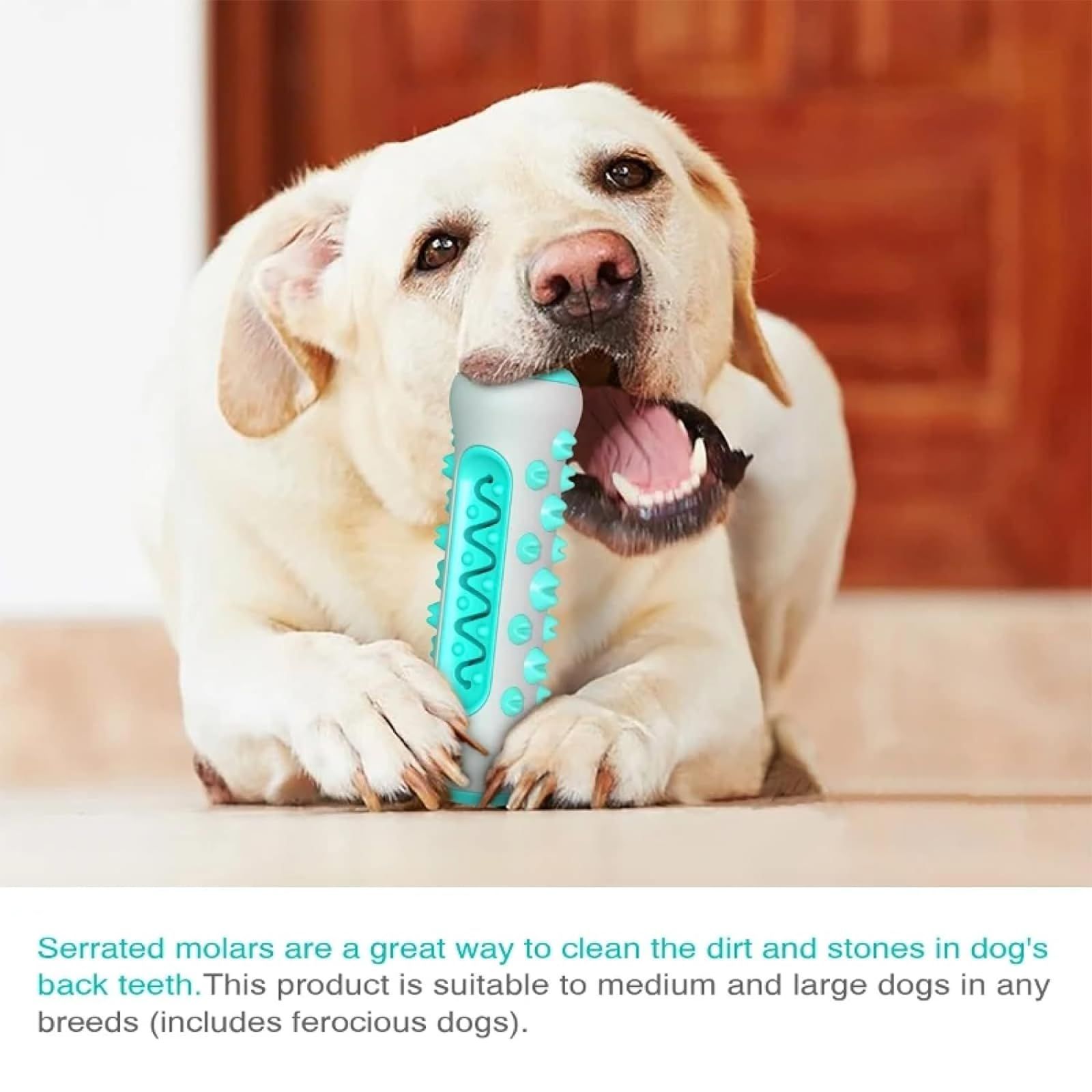 Dog Toys Teething Sticks Chewable Teeth，Dog Chew Toothbrush，360° Dog Toothbrush Chew Toy，Care Teeth Cleaning Pooch Dental (Blue) — image 3
