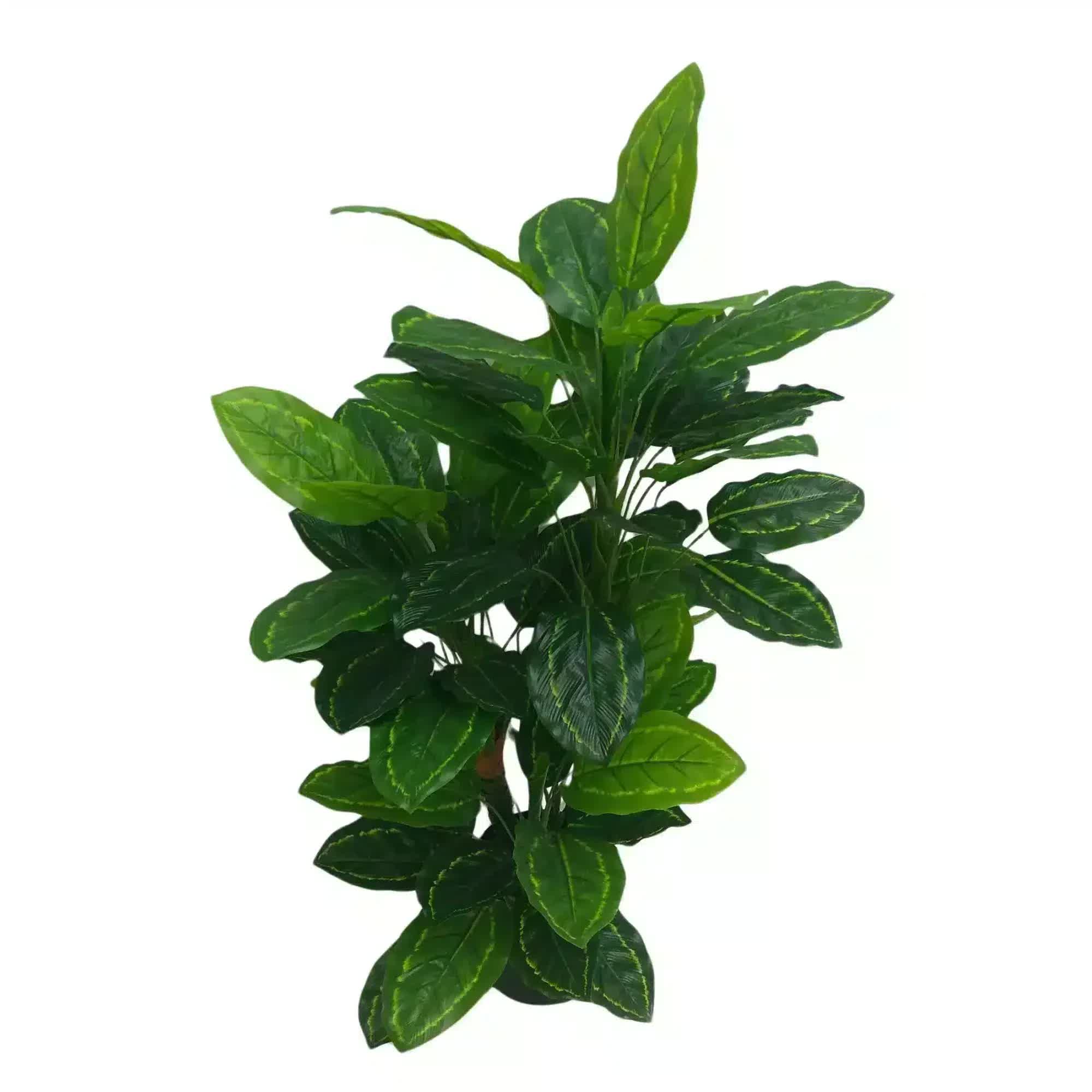 Premium Artificial Cordyline Fructicosa Green / Ti Plant 90cm โ image 2
