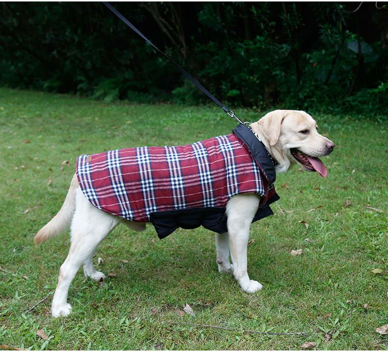 Reversible Winter Dog Coat with Plaid and Quilted Sides, Warm Cotton-Filled Vest for Outdoor Walks, Adjustable Velcro Straps for a Secure Fit (L, Brown) — image 3