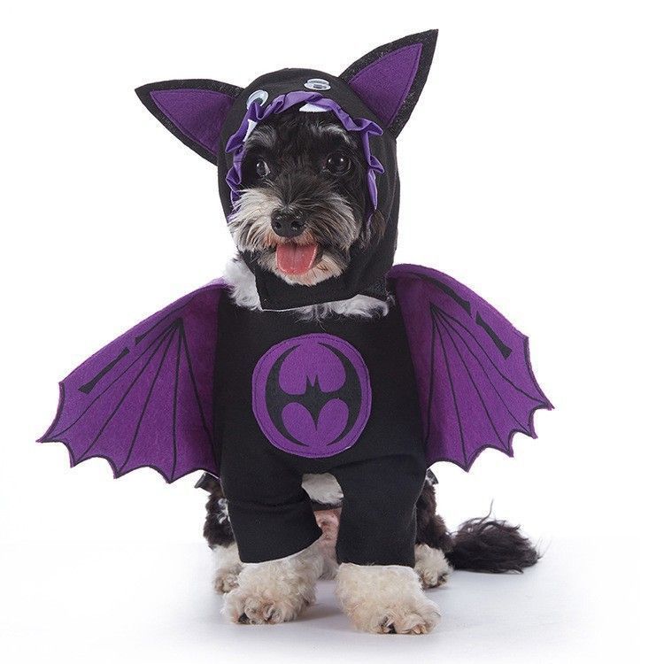 Party Decor Accessory For Pets, Holiday Worn Gear for Halloween Christmas Theme Gathering, Size L