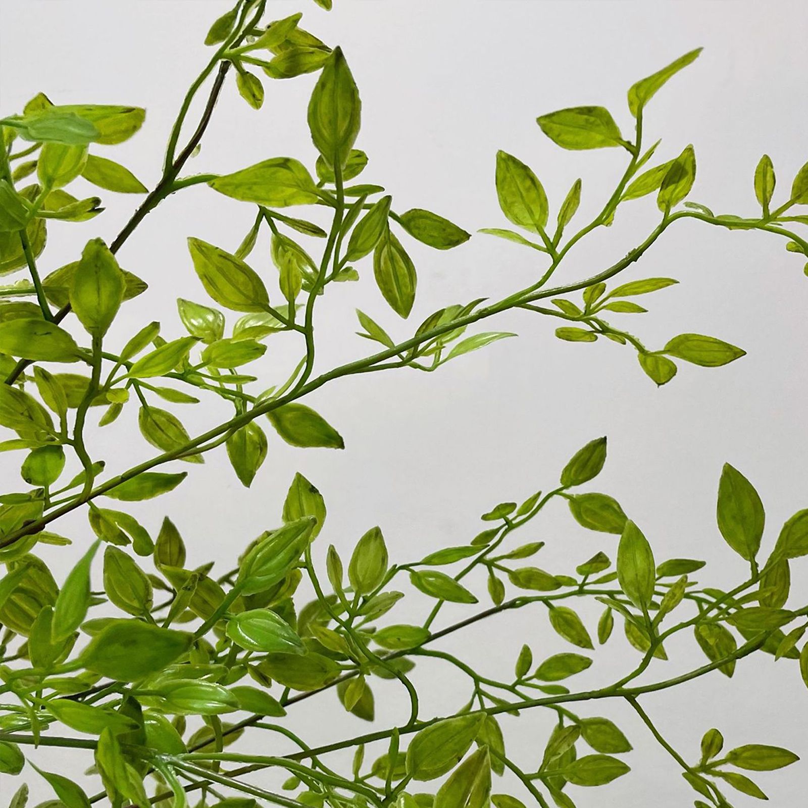 Artificial Green Plant Nandina Simulation Plant Branch Home Decoration — image 4