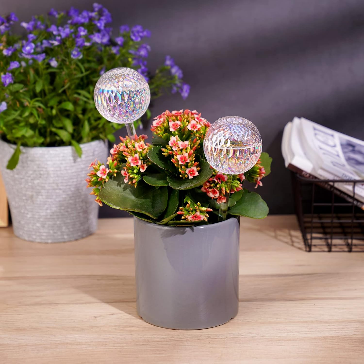 Glass Self-Watering Plant Balls, 2-Pack, Pearlescent, Clear Iridescent, Plant Watering Device, Diamond Pattern, Self-Watering Balls, Planter Insert, Decorative โ image 2