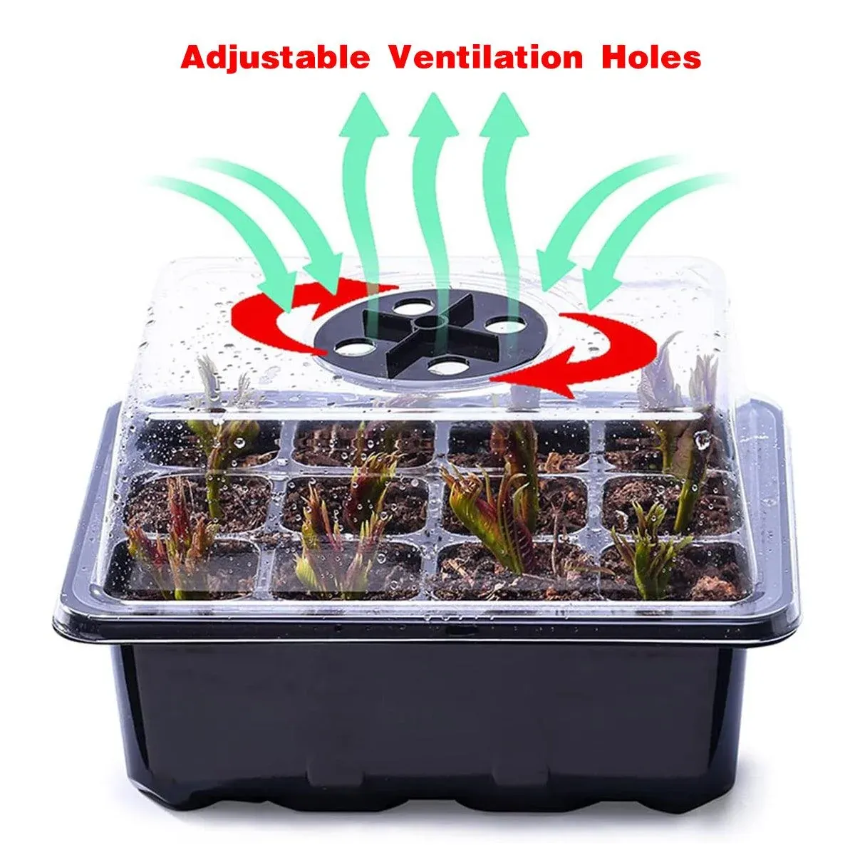 3/5pcs Plastic Seedling Tray Gardening Plant Starter Trays Nursery Pots Planting - 3PCS โ image 6
