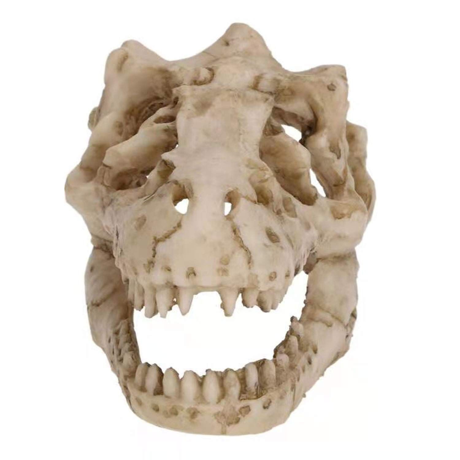 Aquarium Decoration Small Resin Dinosaur Skull Skeleton Fish Tank Aquarium Cave Pet Reptile House Decoration — image 5