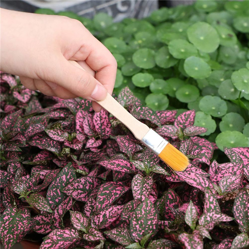 10 Pcs Gardening Bonsai Tools Set Succulent Garden Hand Tool Kit Plant Tool with Shovels Rakes Fork Scissor Cleaning Brush — image 4