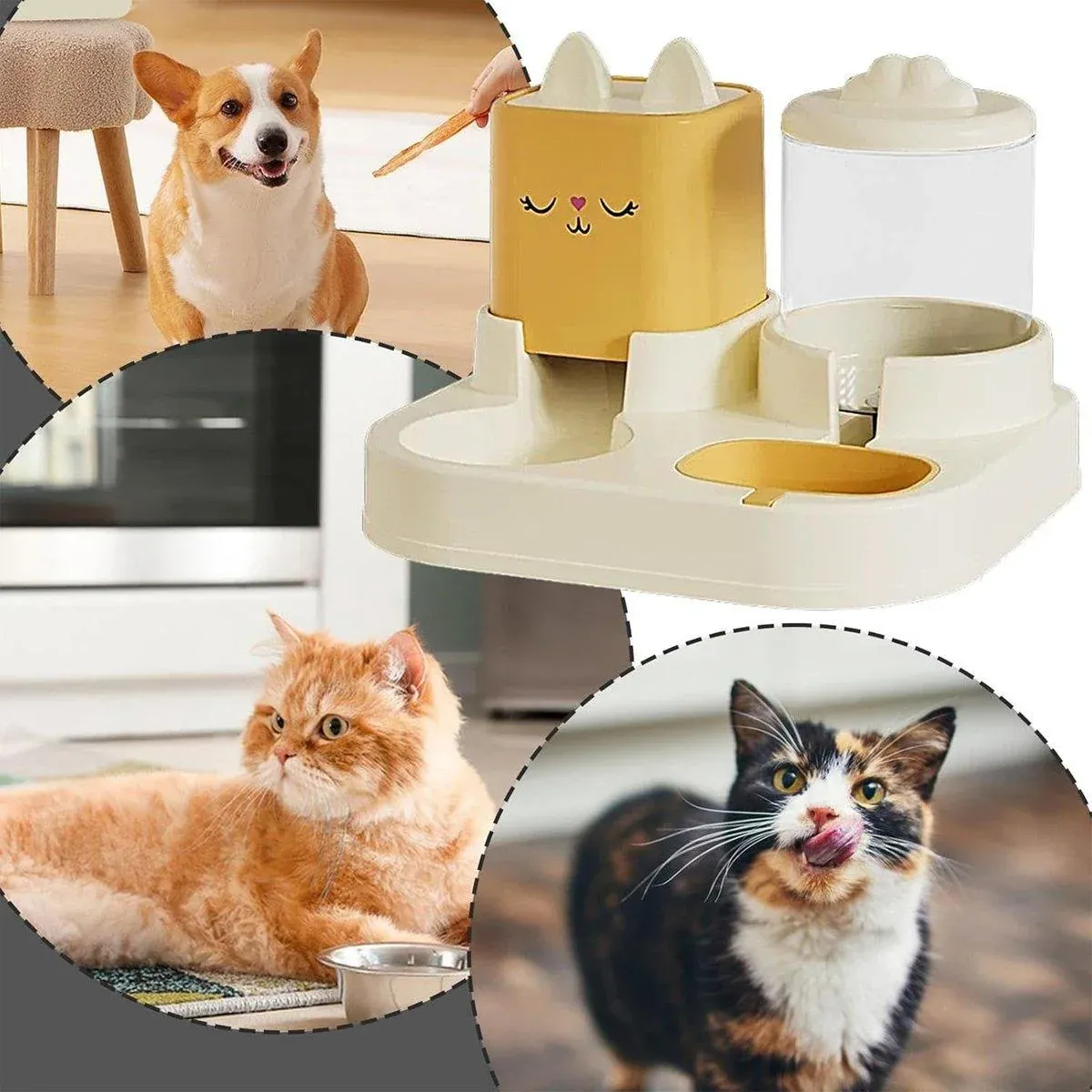 Pet Cartoon Feeding Bowl Universal Water Feeder Cat Dog Food Dish Durable Stand - Yellow โ image 5
