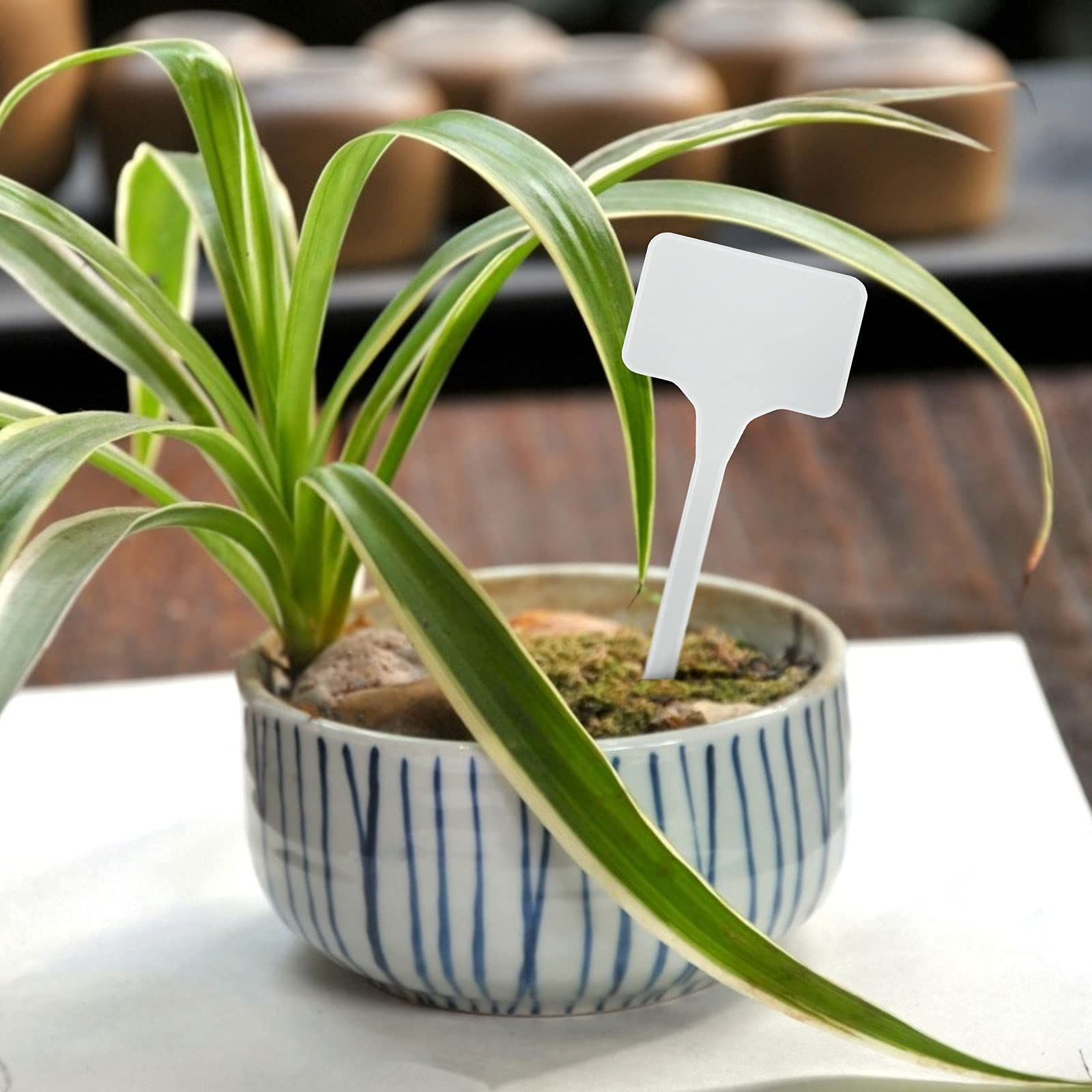 Large Plastic Plant Labels 6 Inch 50 Pack White Sturdy Extra Large T-Style Plastic Plant Labels for Flower beds,Plant pots — image 2