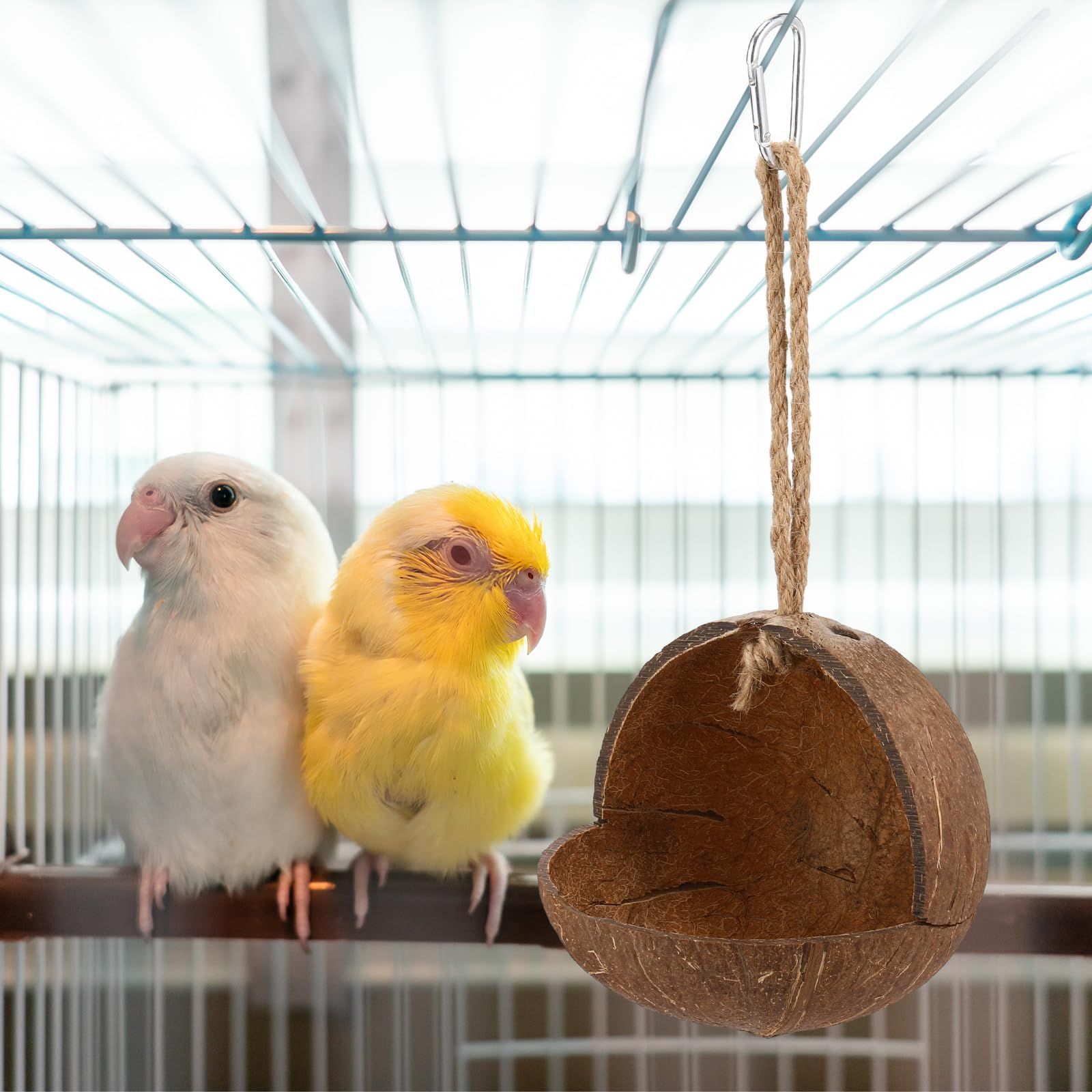 3 Pcs Natural Coconut Bird Hide Nest Birds Parakeet Nest with 6.9 Feet and 4 Hooks, Coconut Fiber Hanging Birdhouse Shell House — image 4