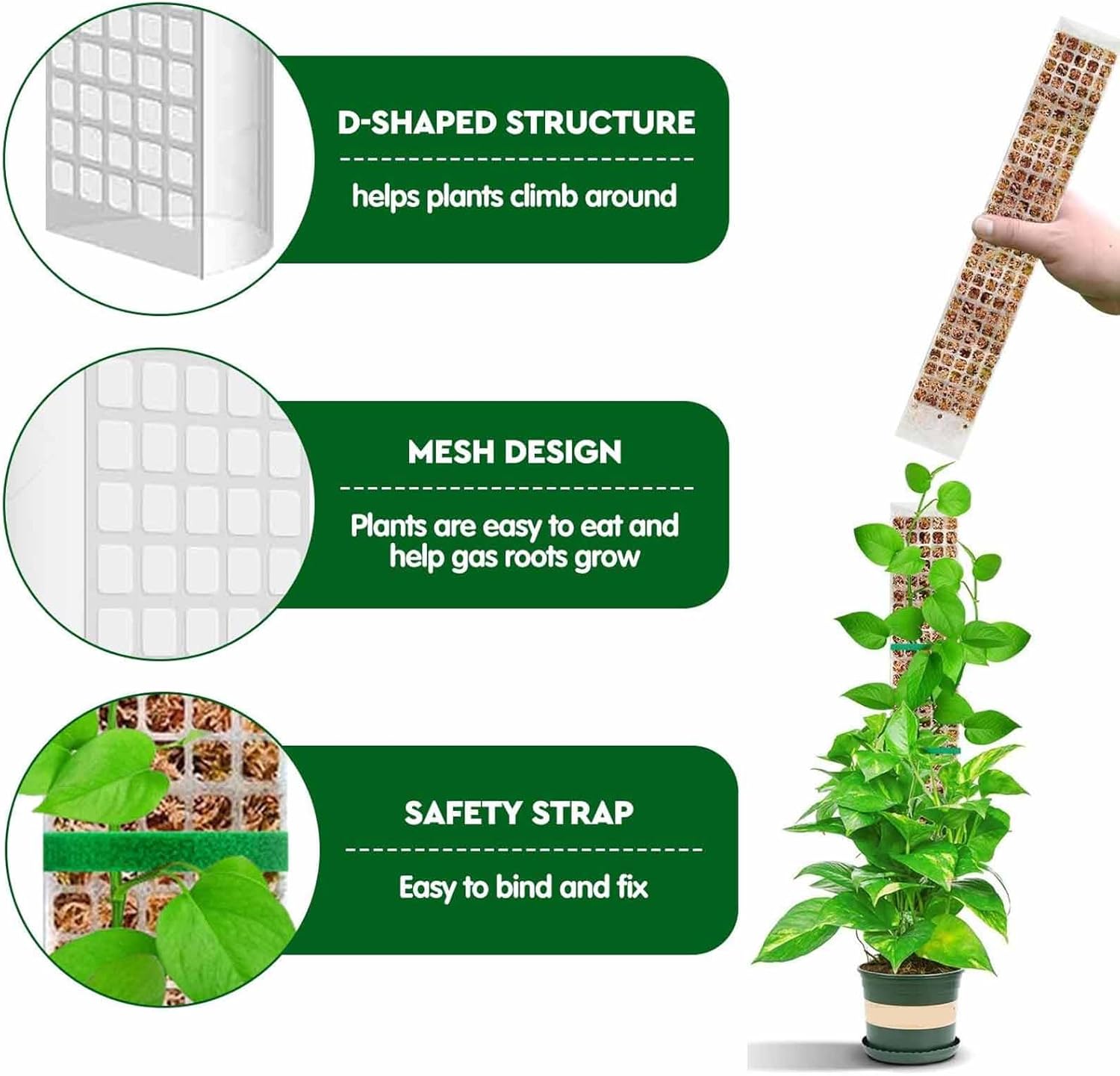 6 Pcs 24 Inch Plastic Moss Pole for Plants Monstera, Stackable for Indoor Work with Sphagnum Support Structure to Help Plants Grow Upwar โ image 3