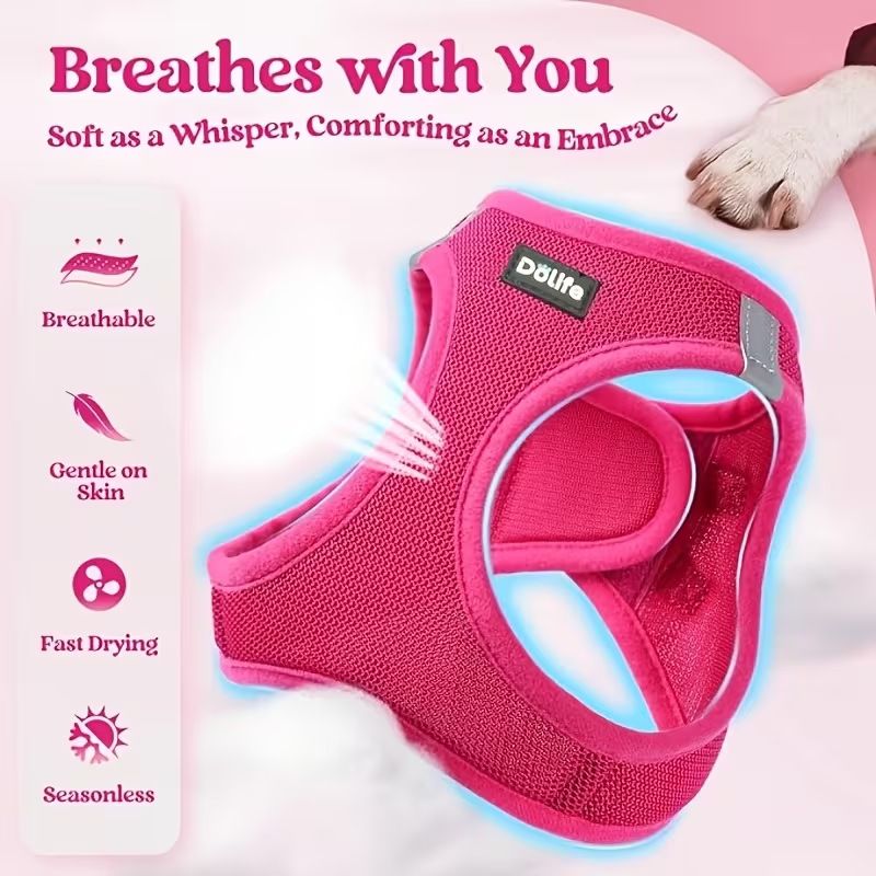 Blue Breathable Dog Harness and Leash Set - Adjustable Reflective Pet Vest with Swivel Clip(Size: L) — image 2