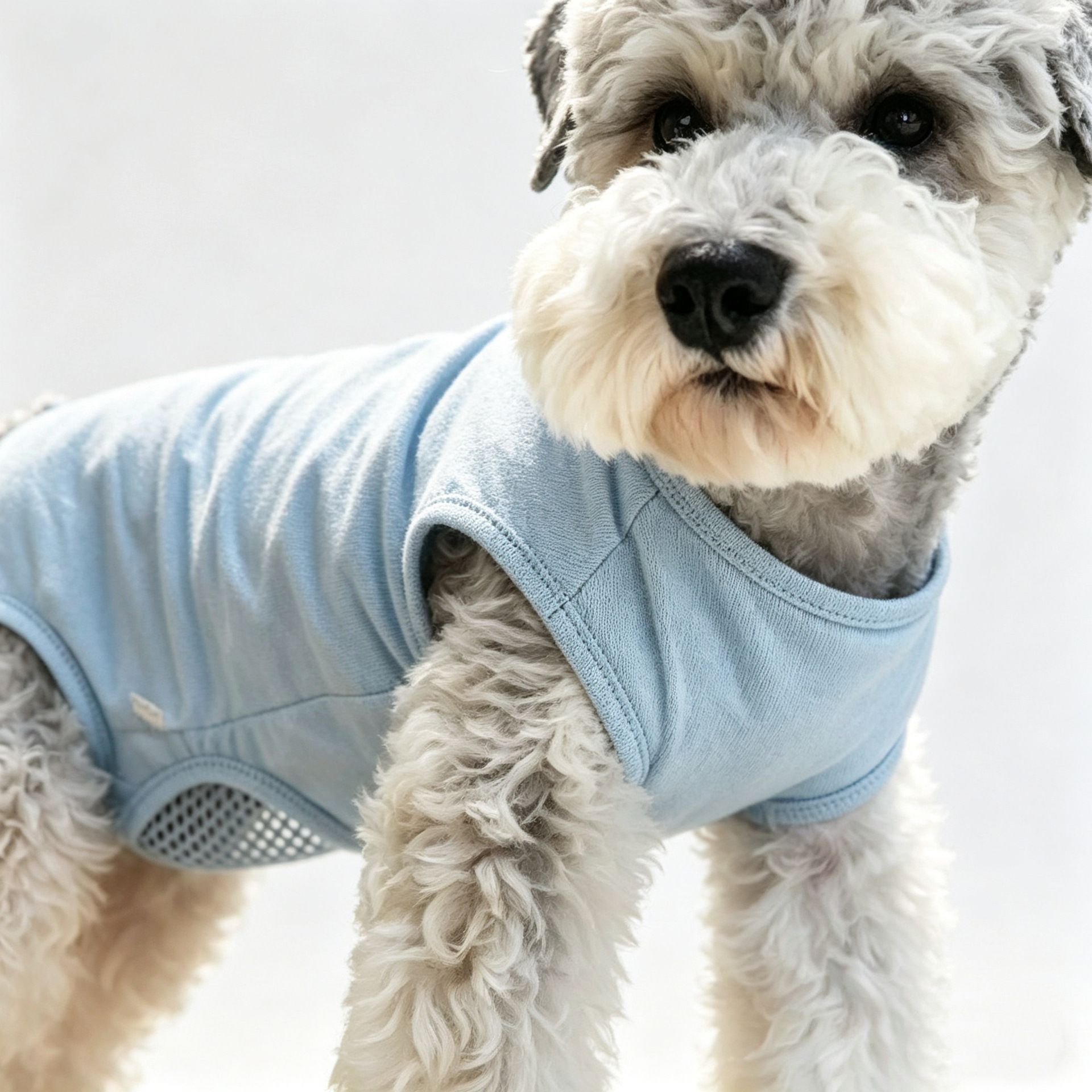 Dog Breathable Coverall Nylon Pet Clothing — image 3