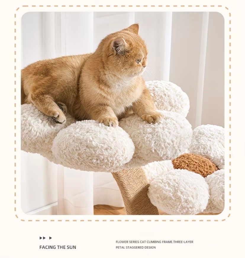 US-Size Compact Cat Tree (White/Pink — image 5