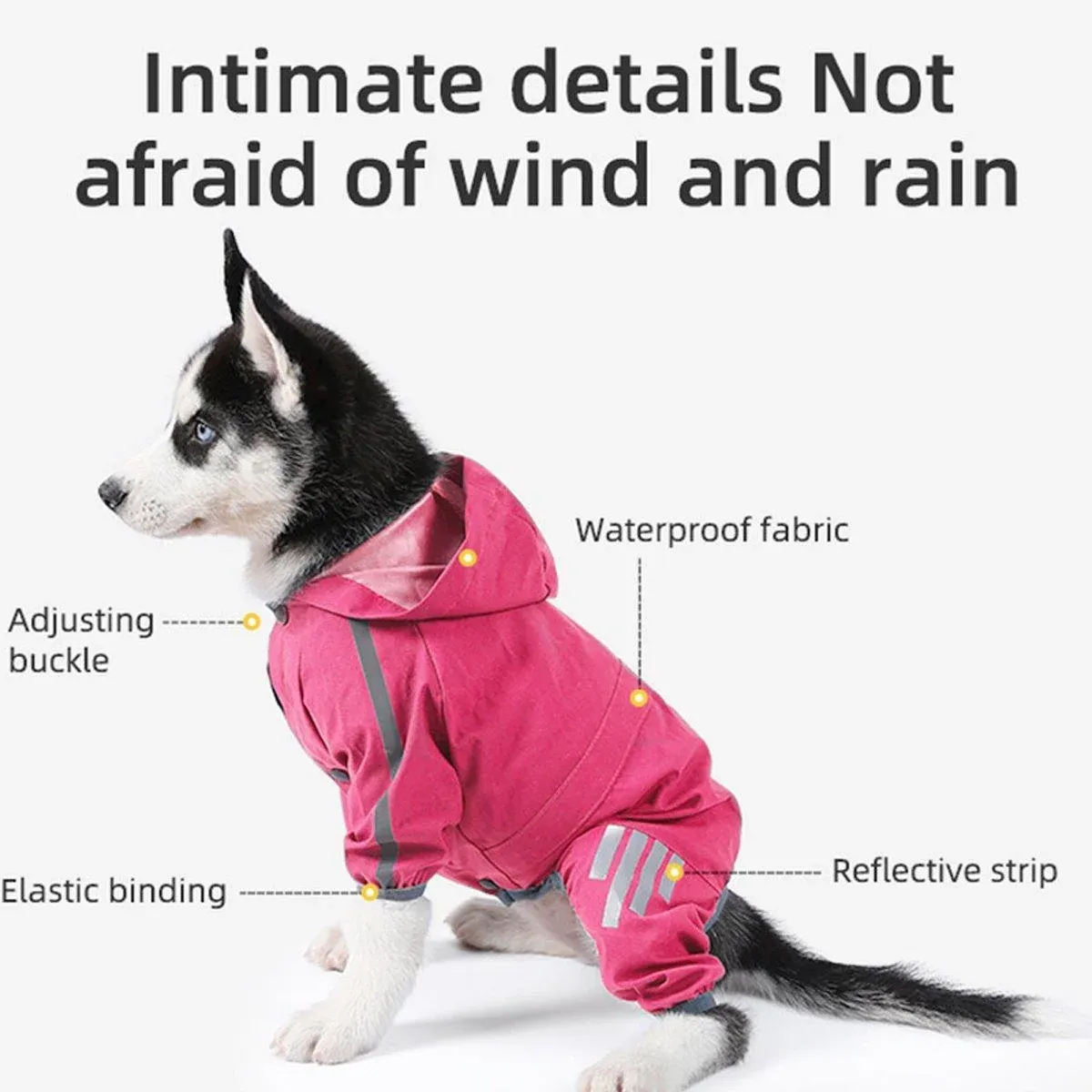 Waterproof Four Corner Pet Raincoats In Large Medium And Small Sizes Are Suitable For Dogs - Purple - XXL — image 6