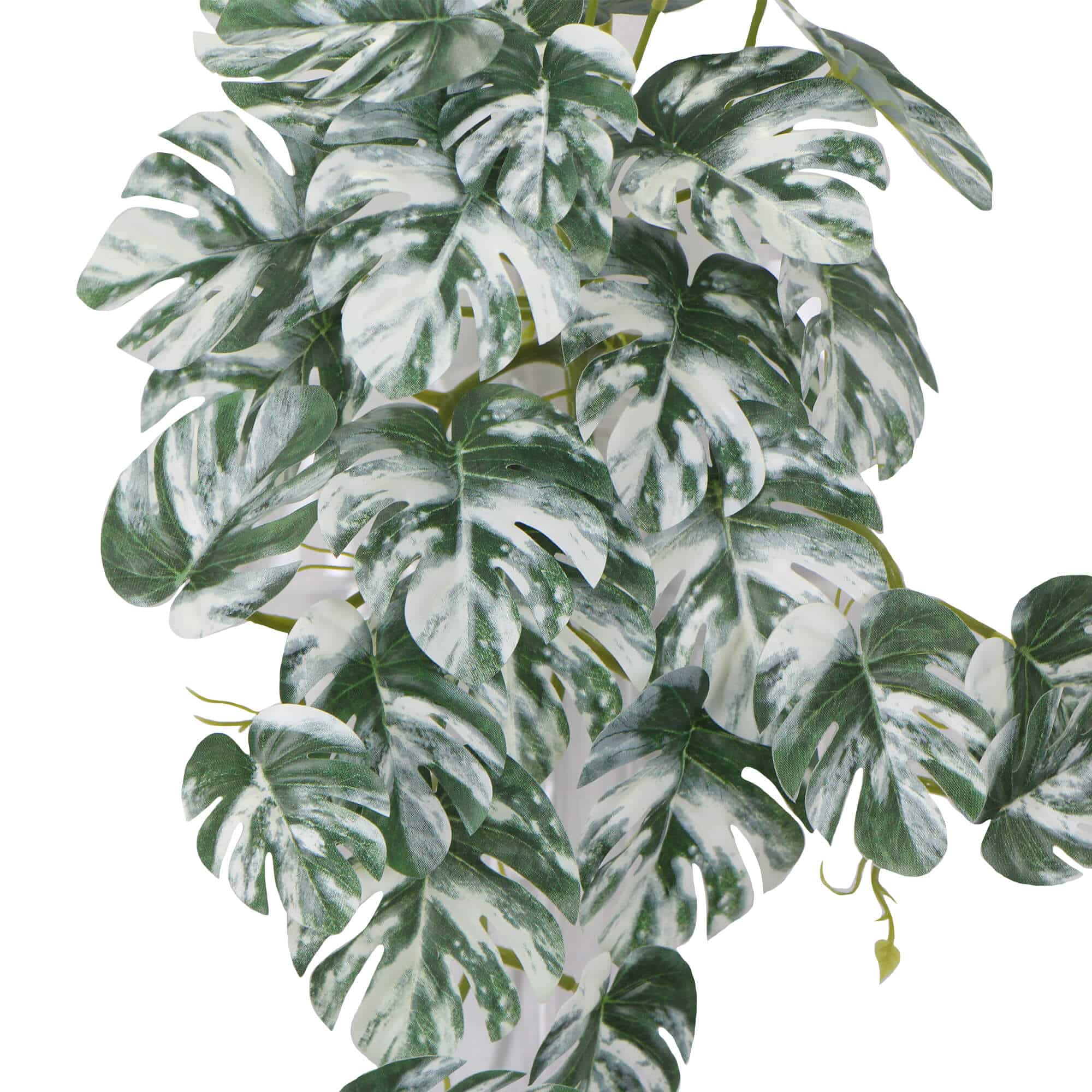 Artificial White & Green Monstera Albo Variegata 45cm — image 4