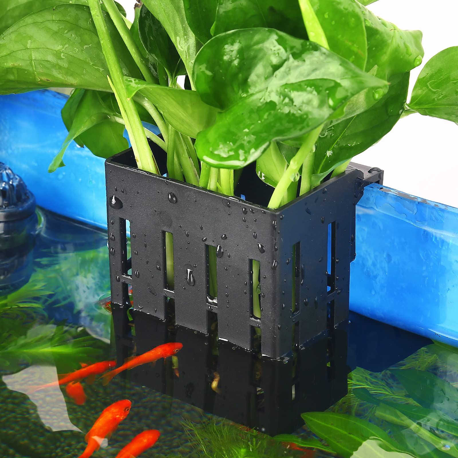 Upgraded Aquarium Plant Holder with Hooks Cups for Fish Tank Aquaponic Plant Cultivation and Aquascape Decorations (Black) — image 2