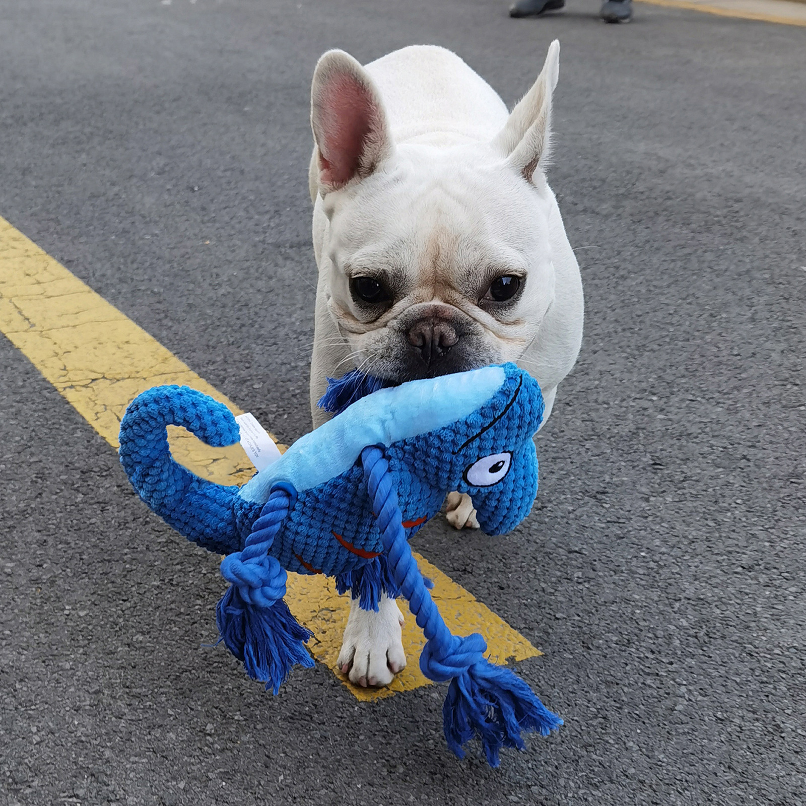 2 Pcs Red Interactive Plush Chameleon Dog Toy with Squeaker & Rope Legs - Durable Chew Toy for Medium/Large Dogs, Teeth Cleaning Texture, Machine Washable โ image 6