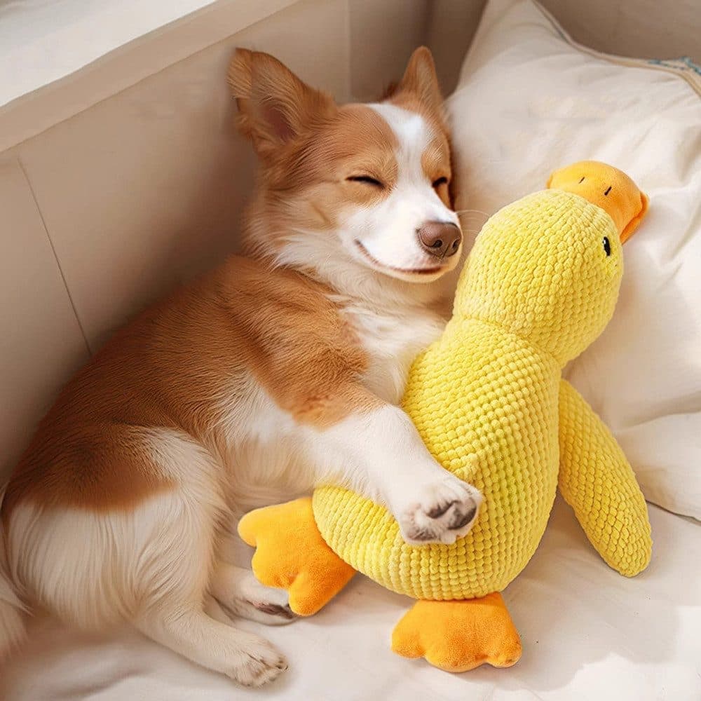 Calming Dog Toy Plush Duck with Squeak for Small Dogs, L — image 6