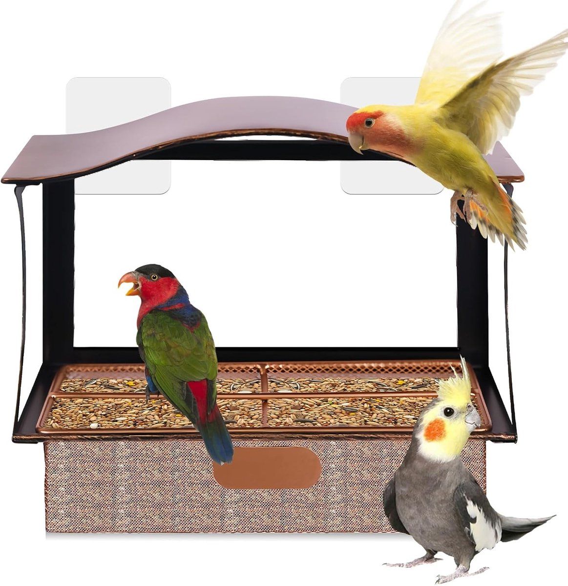 Stainless Steel Window Bird Feeder with Suction Cups, Transparent Weather-Resistant Feeding Station for Watching Small Wild Birds โ image 3